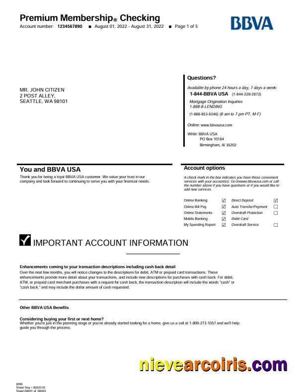 USA BBVA bank statement Word and PDF, 5 pages